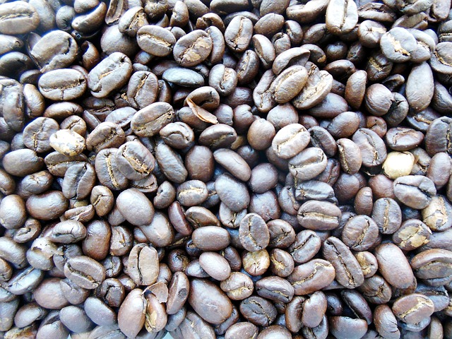 Der teuerste Kaffee der Welt: Kopi Luwak